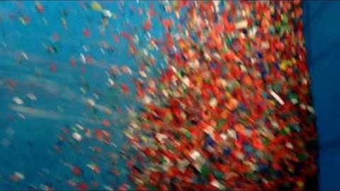 belt/conveyor plastic sorting video on Hongshi Color Sorter