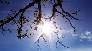 A West Wind -  New Ways