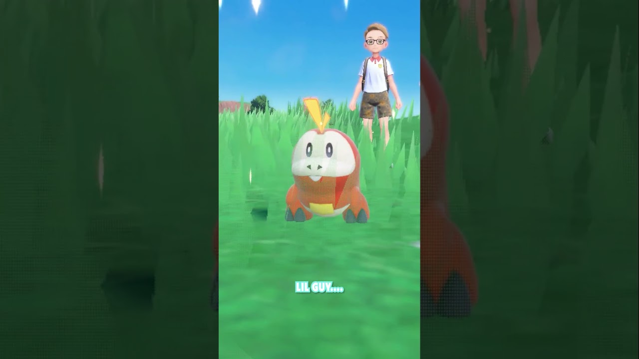 Cracking FUECOCO Eggs: Day 1 of Shiny FUECOCO Hunt | 