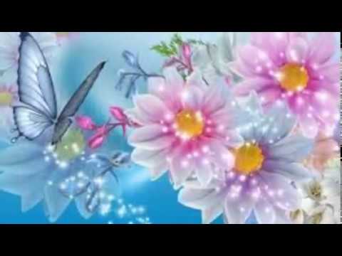Flowers Wallpapers