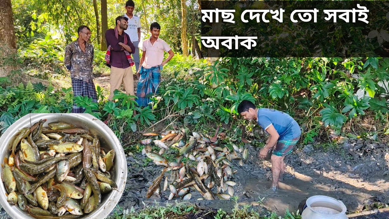 মাছ দেখে তো সবাই অবাক 