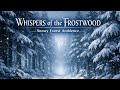 Whispers of the Frostwood — Snowy Forest Ambience