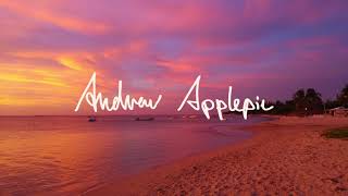 Andrew Applepie - Don't Change A Thing