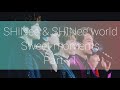 Shinee and shinee world sweet moments part 1