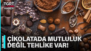 Çikolatanın da Tadı Kaçtı! Sahtekarların Gıda Hileleri Eşsiz Lezzete de Bulaştı – TGRT Haber