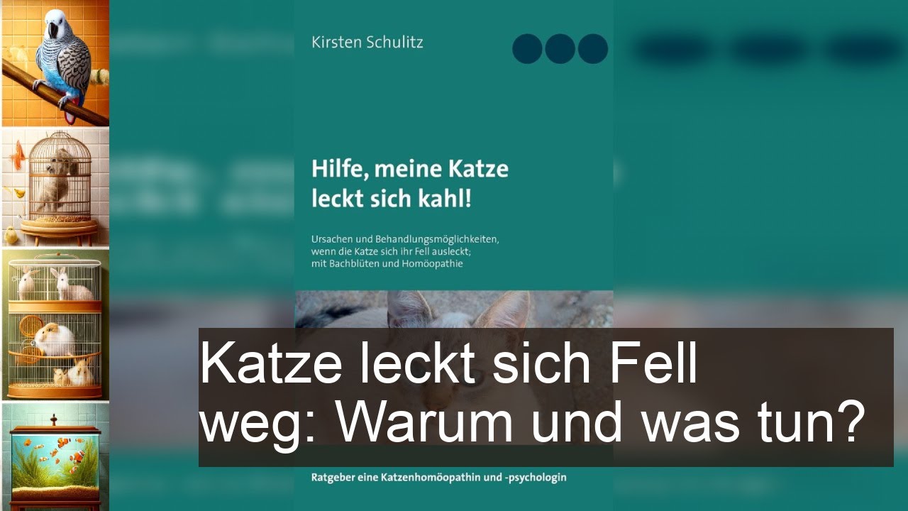 Katze Leckt Sich Fell Weg Hausmittel Katze leckt sich Fell weg: Gründe und Hausmittel - YouTube