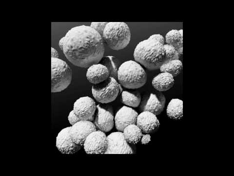 Juniper — Juniper - Edicts of Ashoka. (Aramaic ep 2017. meandyou records)