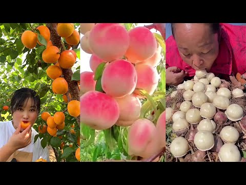 Video: Buah dalam Buah Juicy