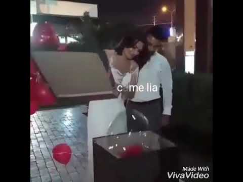 بحبك أنا سامر طالب ويارا اجمل حالات الواتس آب