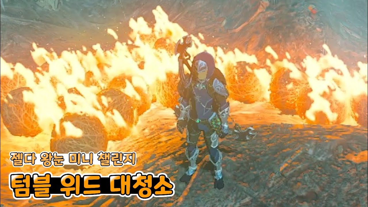 젤다 왕눈 미니 챌린지 텀블 위드 대청소를 진행하는 방법