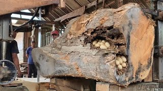 Dangerous!! Sawing large teak wood that is a snake's nest