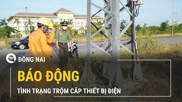 Đồng Nai: Báo động tình trạng trộm cắp thiết bị điện | Truyền hình Quốc Hội Việt Nam