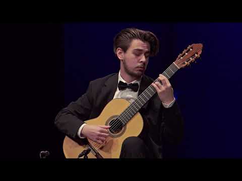 Filip Mišković, guitar
