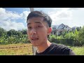 Hoàng Cồ | Một buổi tối thật đẹp