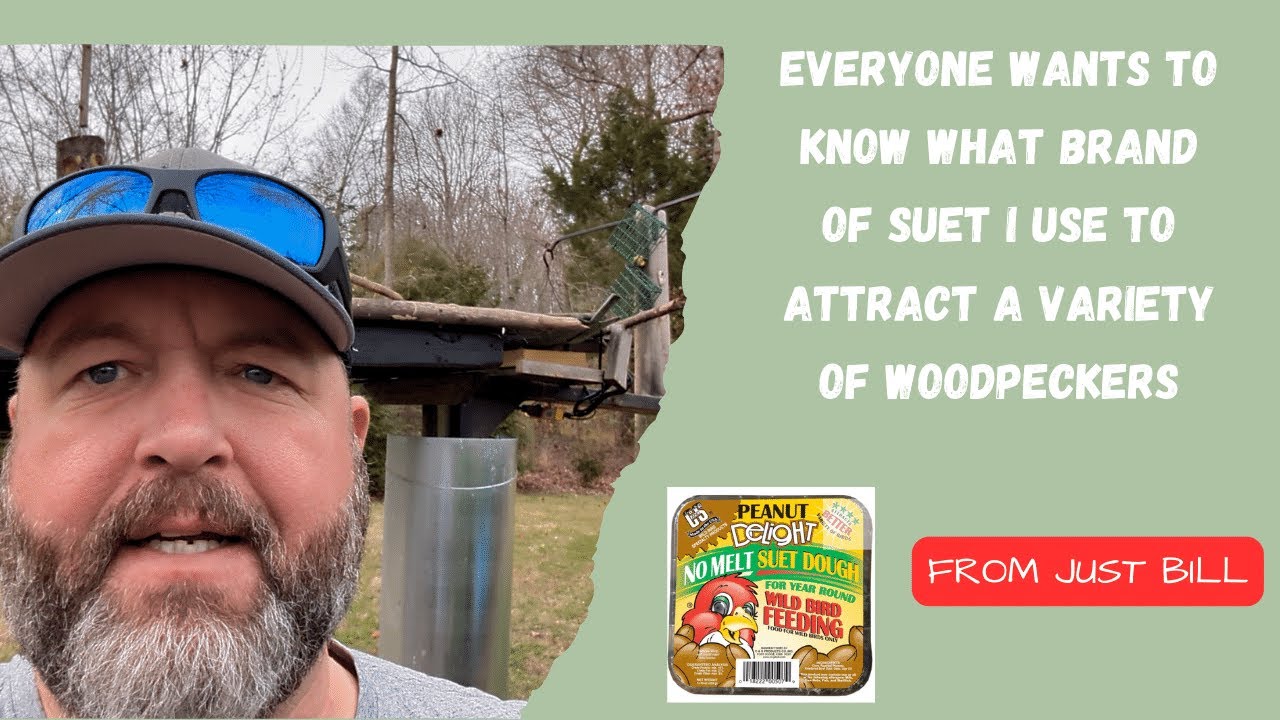 Attract Woodpeckers & Songbirds with C&S Brand Peanut Delight on Just Bill's Live Stream