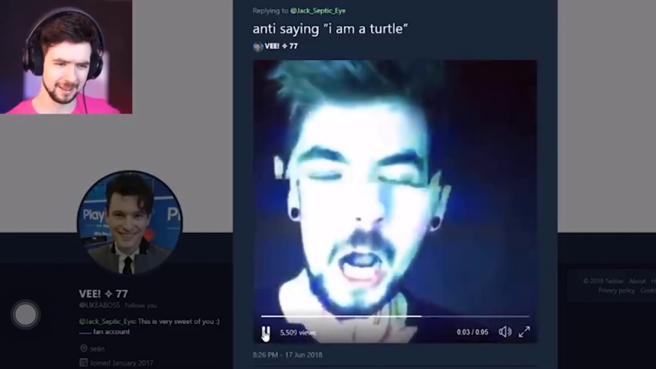 Anti saying I am a turtle