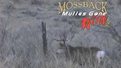 MossBack Mulies Gone Wild Vol. 2 Trailer