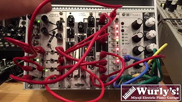 Half Rack Challenge Sample 02【Wurly