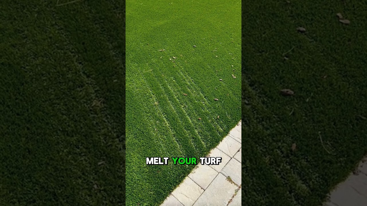 Stop Your Turf From Melting With This Simple Trick!