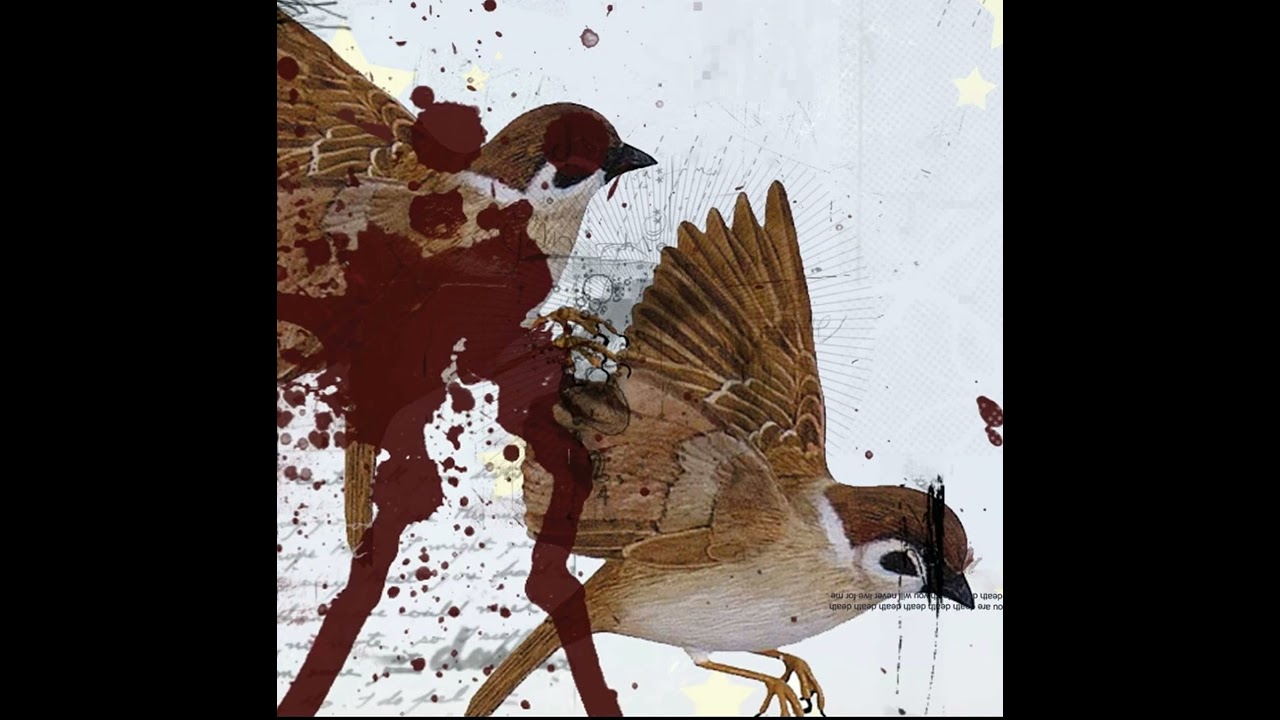 JAKE - you know things that I hate (Official Music Video)