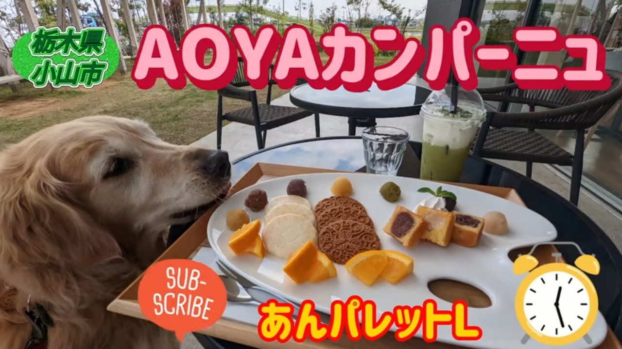 AOYAカンパーニュ・あんパレットＬ（小山市）