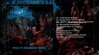 Gore Insanity — House Of D********** Bodies