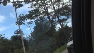 Grande Vigem E Chegada