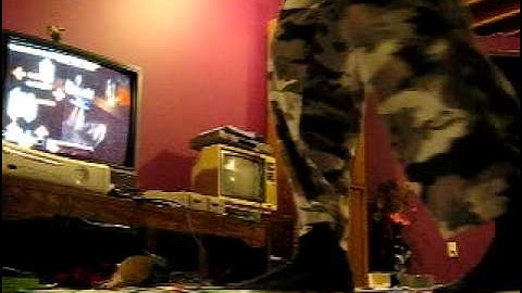 DDR X - SABER WING (AKIRA ISHIHARA Headshot mix) Challenge (Better score)