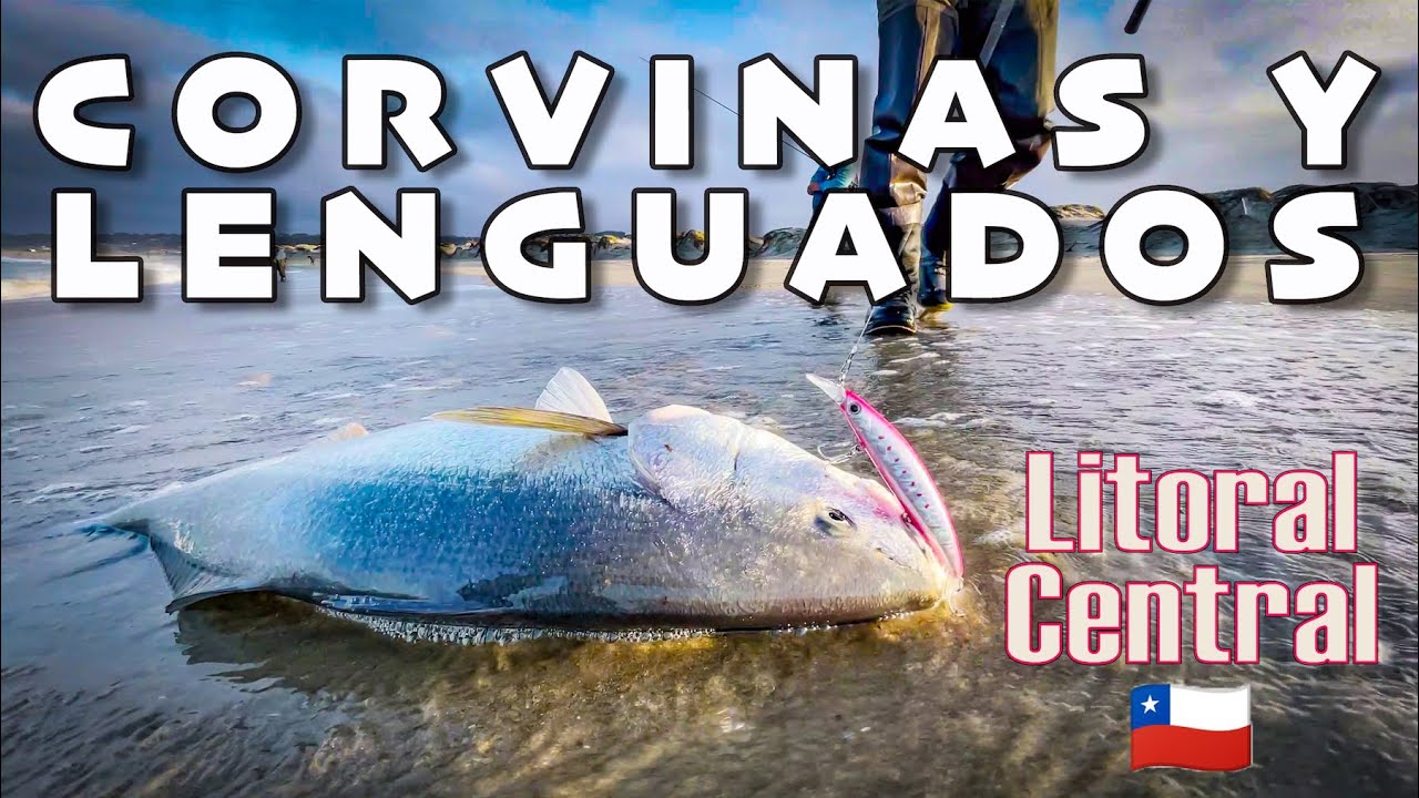 Encontramos Corvinas y Lenguados 🍀, Pescando en el Litoral Central 🇨🇱🎣