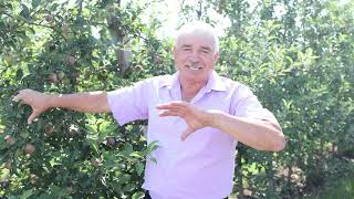Managementul Fertilizării