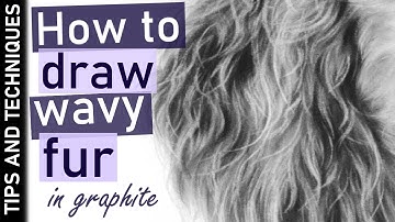 How to draw wavy fur in graphite | Tips for drawing realistic fur
