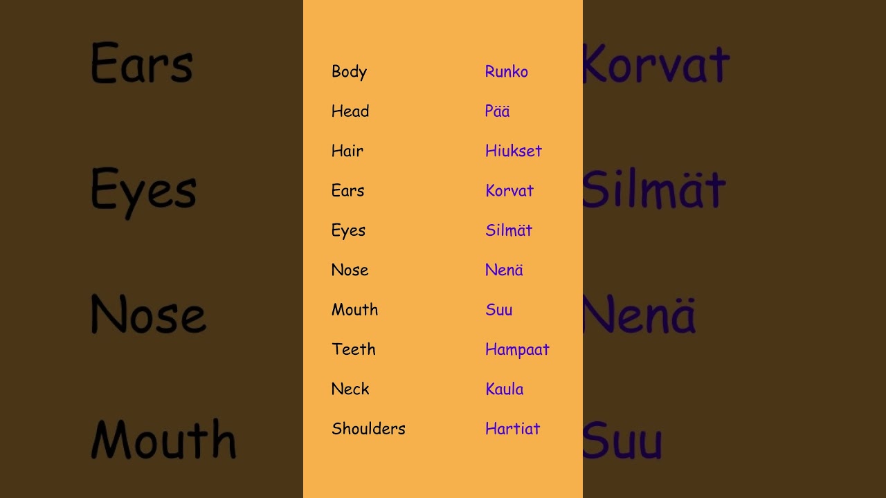 Части тела - лексика | Финский 