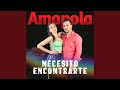 Necesito encontrarte - Amapola