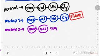 Mutasi Bagian 4 Efek Mutasi Terhadap Asam Amino Yang Terbentuk