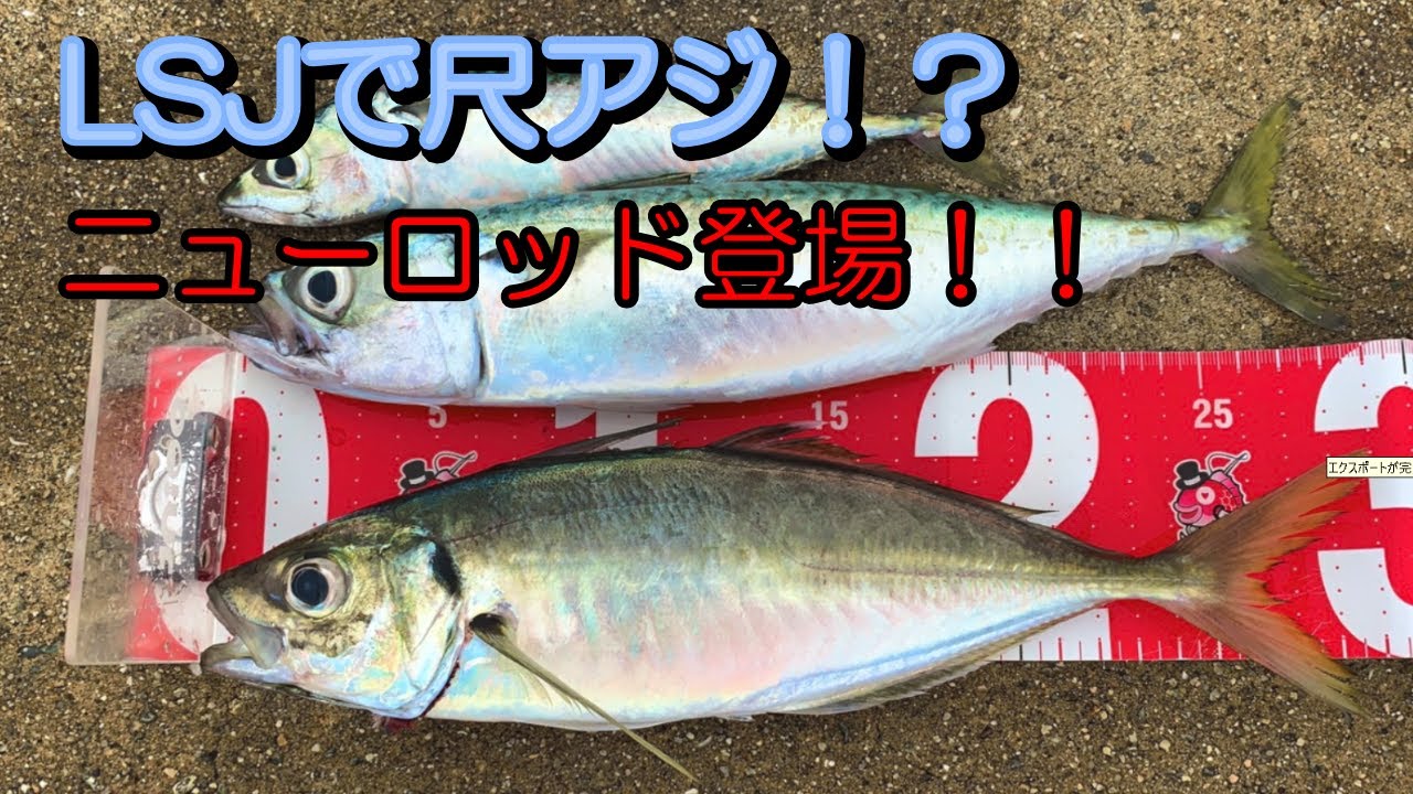 ショアジギングで尺アジでるか シーバスロッド買いました Youtube