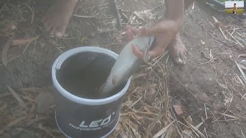 Câu cá tự nhiên nhánh sông Rạch Tra - Hóc Môn