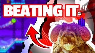Can a Fruit Fly Beat Geometry Dash? screenshot 1