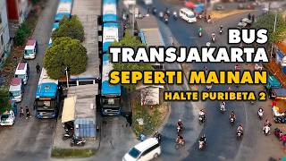 telolet bus transjakarta mainan | halte TJ puribeta 2 | bus mania