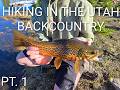 Hiking and fishing the Utah Backcountry | PT 1