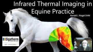 Infrared Thermal Imaging in Equine Practice screenshot 1
