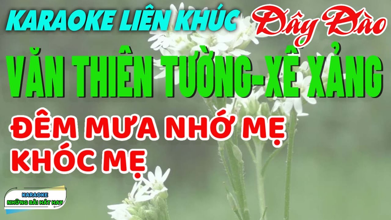 Karaoke Liên Khúc Văn Thiên Tường Xế Xảng I Dây đào
