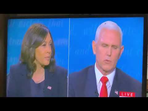 What Is That On Mike Pence’s Head As He Debates Kamala Harris? A Bug? Twitterers Say Flies