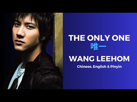 王力宏 ワン・リーホン Wang Lee-hom The only one 3 王力宏 ワン・リーホン Wang Lee-hom The only one 3 The Only
