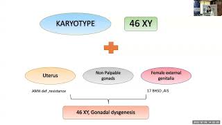 MedEClasses Conundrum XY DSD