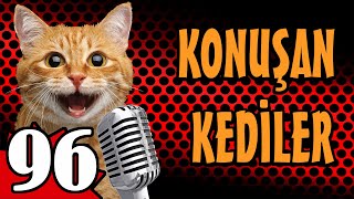 Konuşan Kediler 96 En Komik Kedi Videoları by Pati TV 153,941 views 1 month ago 10 minutes, 1 second