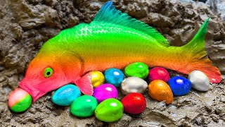 Happy New Year 2026  Sweet Coffee Jazz   Holiday Bossa Nova Instrumental For Stress Relief