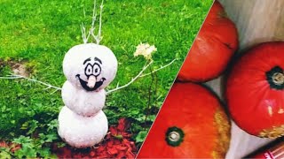 ⛄Snowman without snow! Do it yourself. En, Ru, Es, De Instructions ⬇️