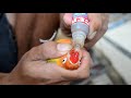 Vitamin C Untuk Burung Lovebird