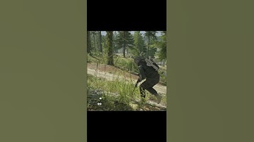 Ghost recon breakpoint stealth kills