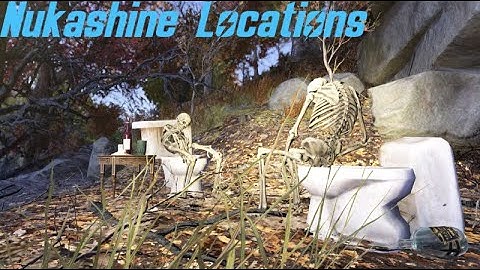 Nukashine (Possibly All Locations, Time Stamps) | Fallout 76 Exploration & Speculation